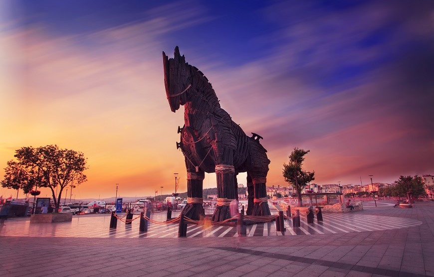 Grand Turkey for Summer